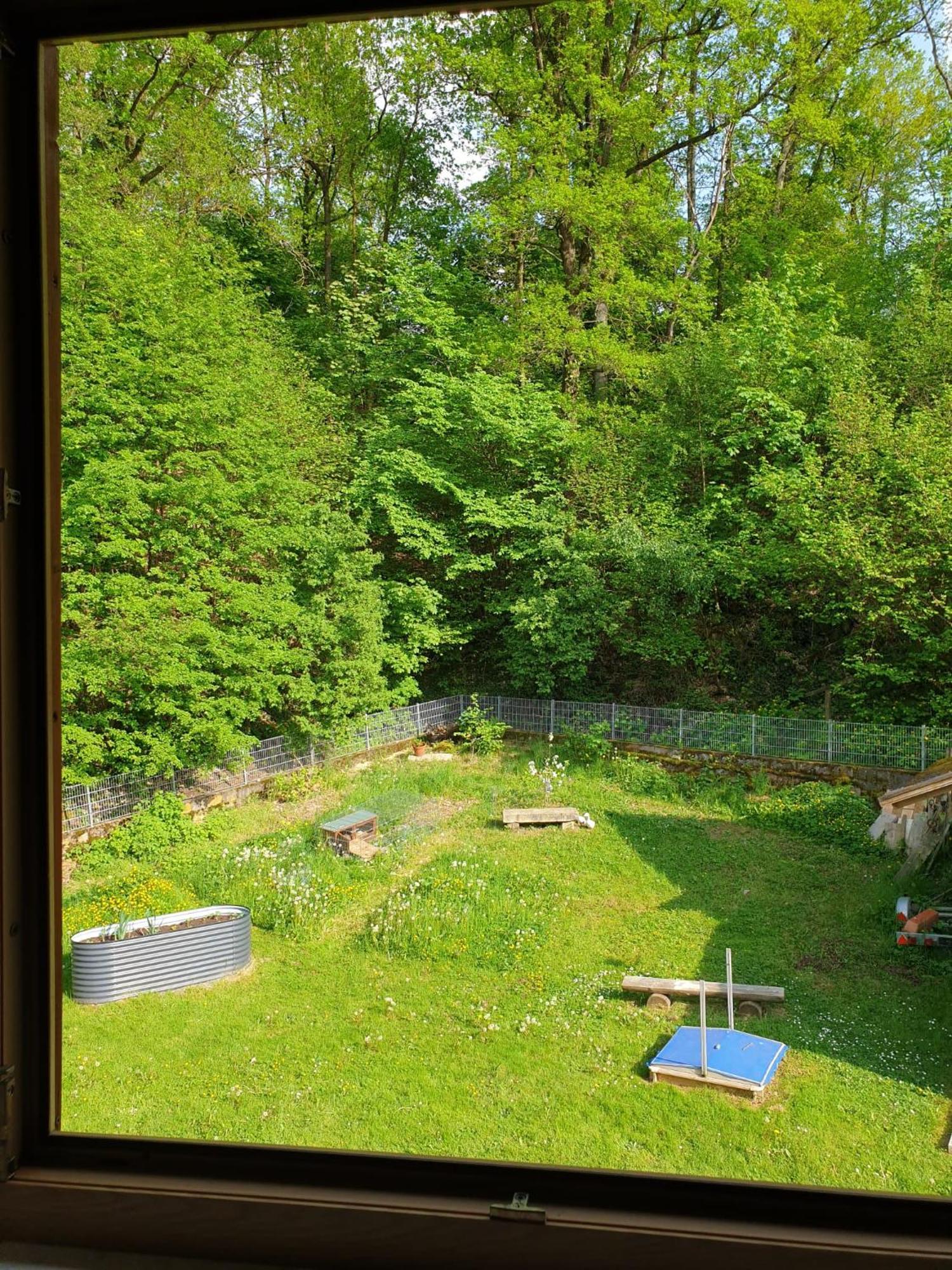 Ferienwohnung Und Sommerhaus Unter Der Burg Falkenberg  Eksteriør billede